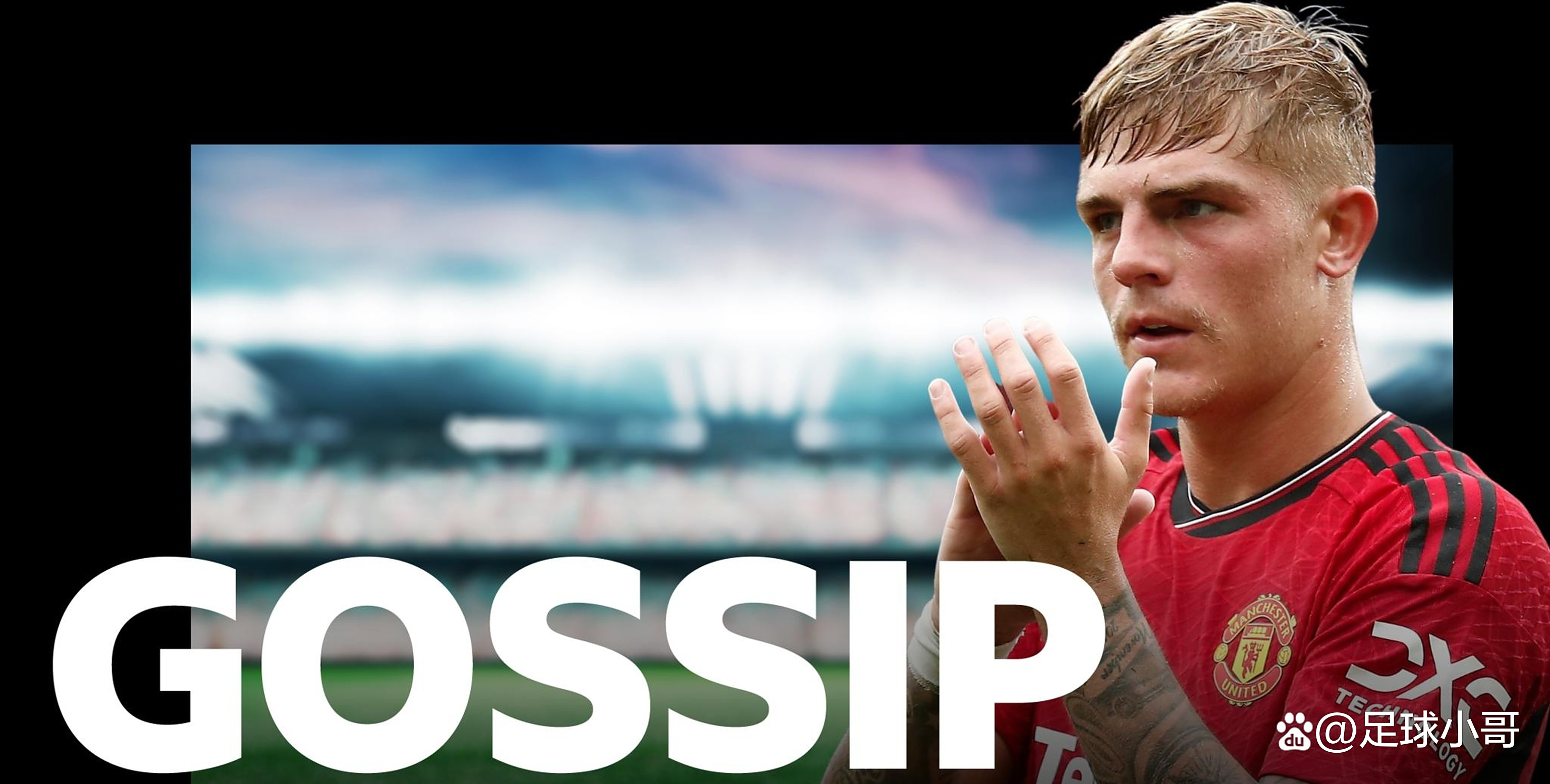 爱游戏官网 -布莱顿队员名单最新